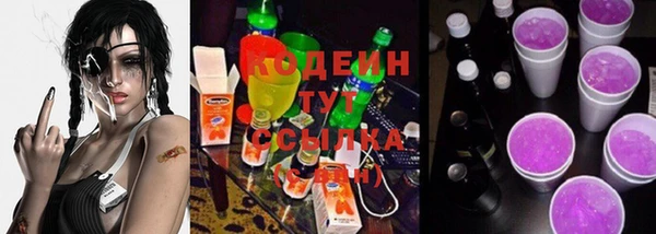 мдпв Горно-Алтайск
