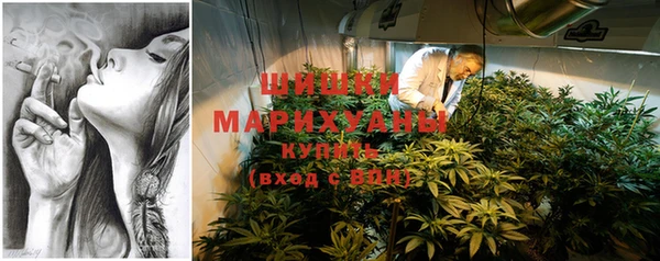 мдпв Горно-Алтайск