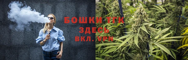 мдпв Горно-Алтайск