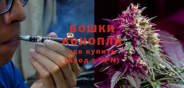 мдпв Горно-Алтайск
