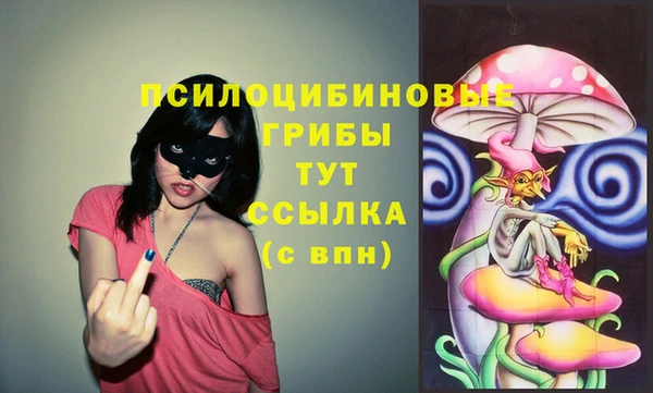 метадон Вяземский