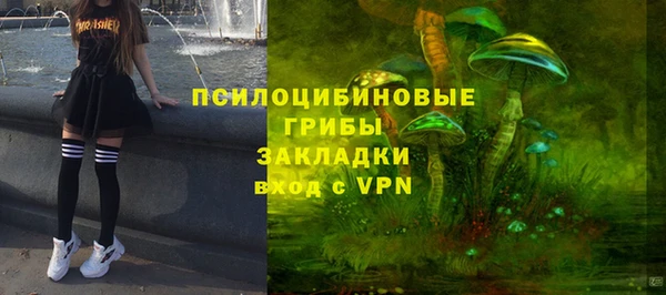 ALPHA PVP Горняк