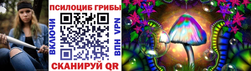 Псилоцибиновые грибы мицелий  гидра   Дербент  что такое наркотик 